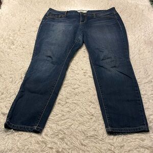 Torrid Skinny Jeans